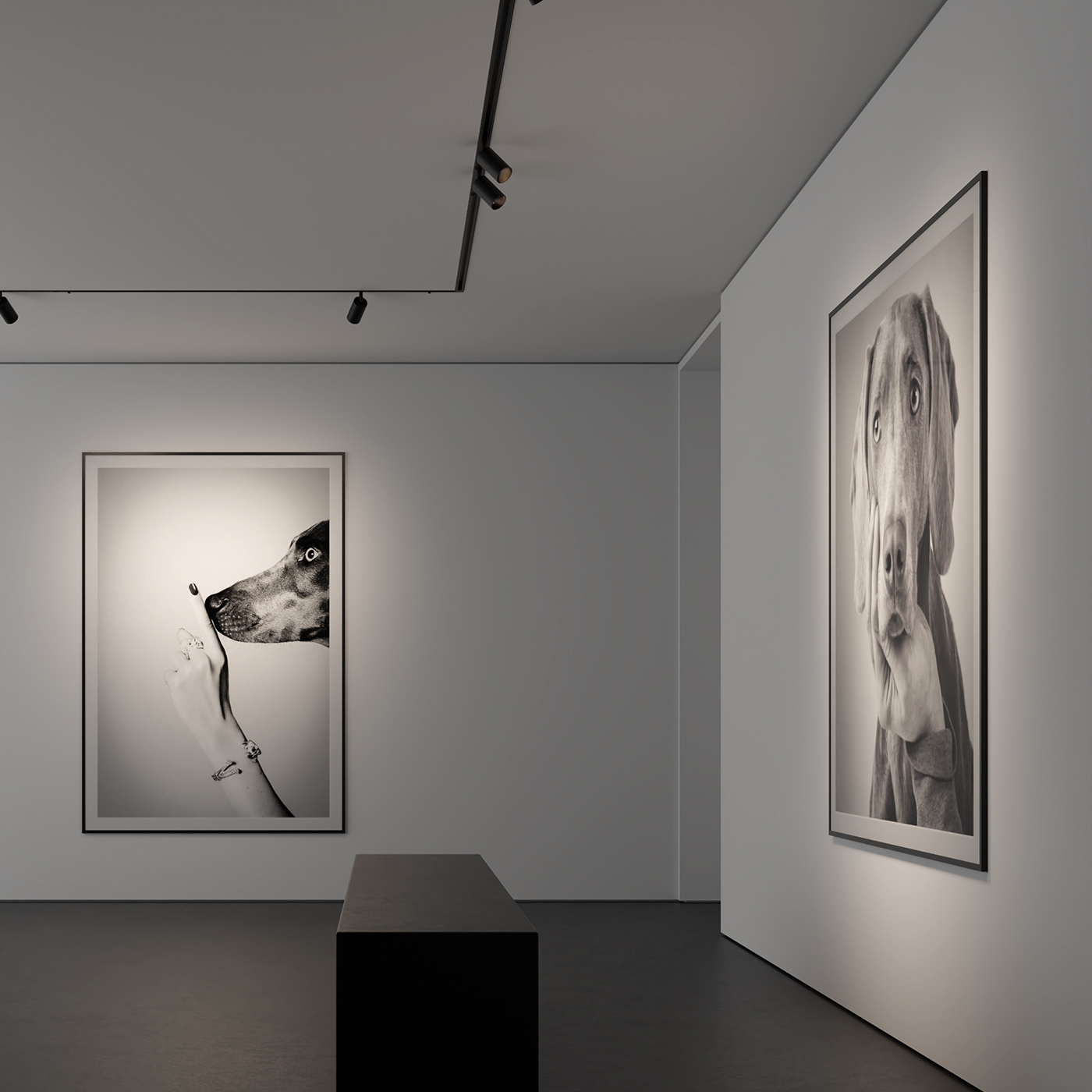 Functional Lighting